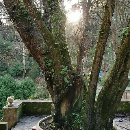 My Story Bed & Breakfast Sintra