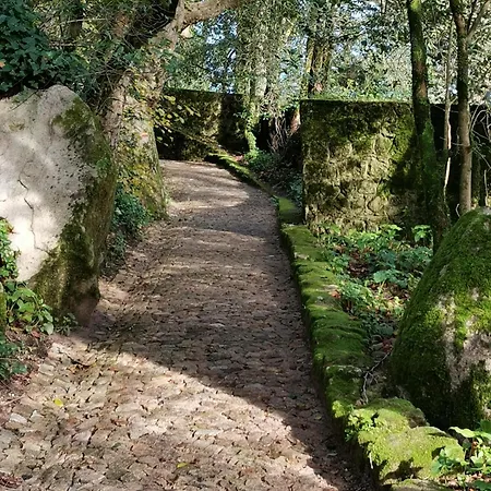My Story * Sintra
